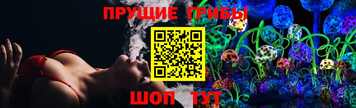 Большой Камень  Псилоцибиновые грибы Psilocybe  дарнет шоп  Вход с VPN 